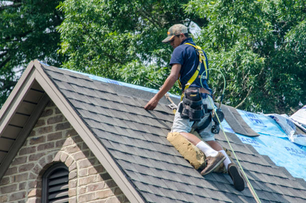Best Storm Damage Roof Repair  in Warm Mineral Springs, FL